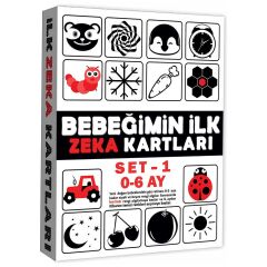 DIYTOY 2199 EĞİTİCİ KARTLAR 0-6 AY ZEKA KARTLARI