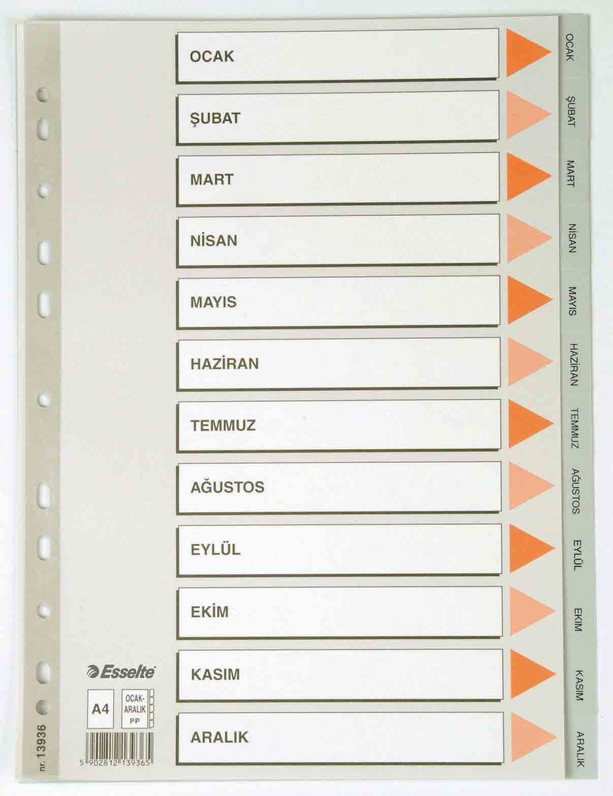 ESSELTE 13936 SEPERATÖR A4 AYLAR GRİ