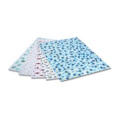 FOLİA MOTİV KARTON 50X70 10YP 270 GSM FO-4809